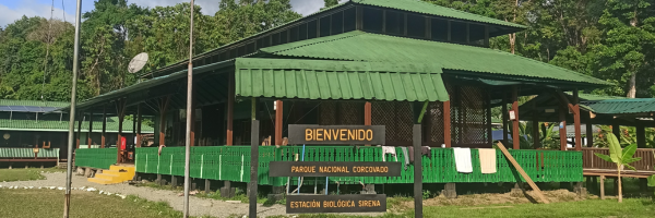 Fotografía de la estación Sirena. En el primer plano se ve la vandera de Costa Rica ondeando a la derecha en el medio el cartel de bienvenido, Parque Nacional Corcovado, Estación Biológica Sirena. Al fondo se ve la estacion pintada de verde. 